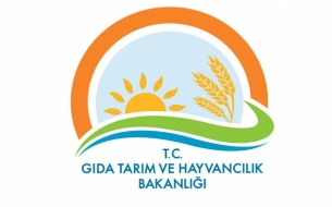 Erkenci Brtlen Hasad reticisinin Yzn Gldrd